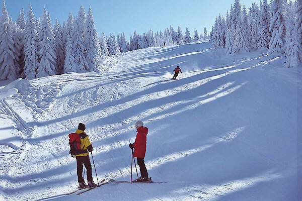 Skifahren in Bayern Skifahren Bayerischer Wald